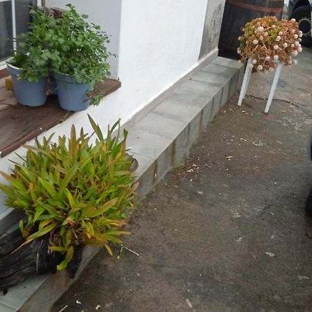 圣克鲁斯-德拉帕尔马Casa Nieves De Mario别墅 外观 照片